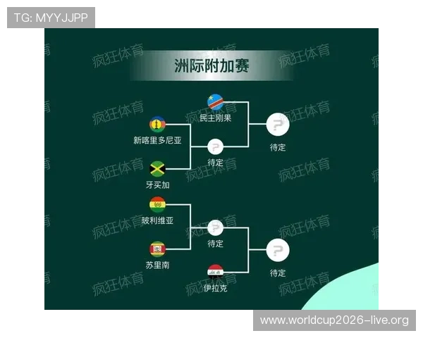 2026世界杯附加赛比赛场馆及观赛指南，助你轻松掌握现场观赛信息